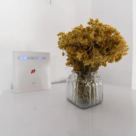 Donji Lepuri * Lisicici