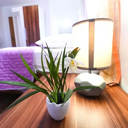 Donji Lepuri Lisicici